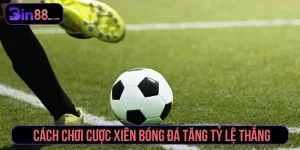 cược xiên bóng đá