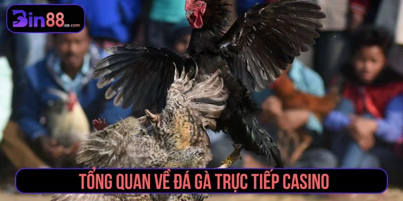 Đá Gà Trực Tiếp Casino – Review Trải Nghiệm Sới Gà Đỉnh Cao Đá gà trực tiếp casino là hình thức cá cược uy tín