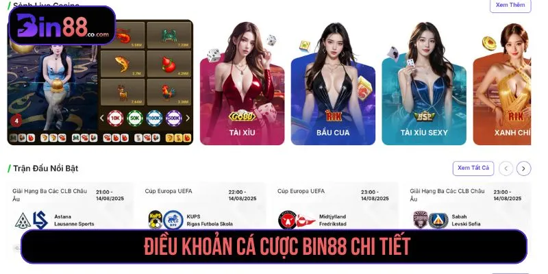 Điều Khoản Cá Cược Bin88 Điều khoản cá cược Bin88 chi tiết