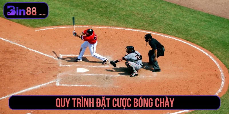 Trải nghiệm thật khi tham gia cá cược bóng chày online Quy trình cá cược bóng chày minh bạch