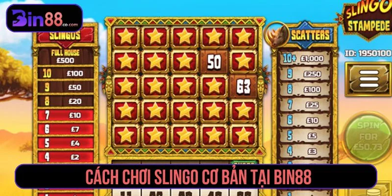 Slingo – Trò chơi độc đáo chỉ có tại Bin88 Tham khảo cách chơi Slingo hiệu quả