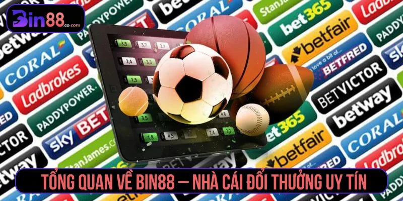 Bin88 – Cổng Game Bài Đổi Thưởng Quốc Tế | Tặng Code 88k Thông tin về nhà cái Bin88
