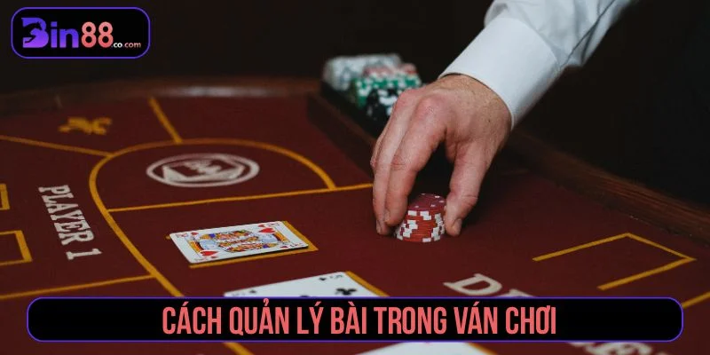 Bí Quyết Đánh Bài Không Bị Lộ Bài – Kinh Nghiệm Thực Chiến Tổng hợp cách quản lý bài hiệu quả